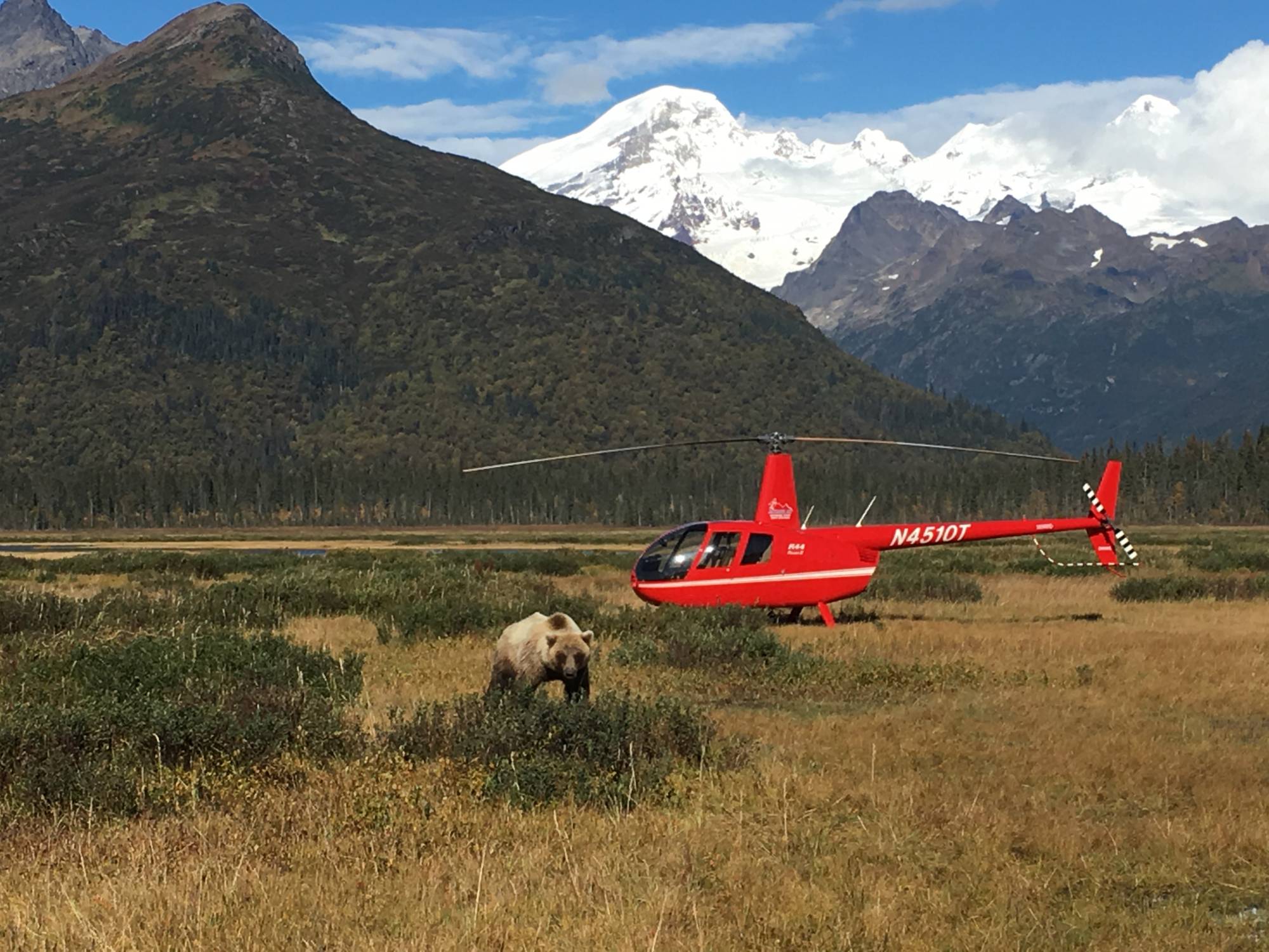 Alaska Ultimate Safaris Alaska tours