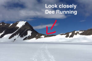 Ultra Running on the ice fields!!!