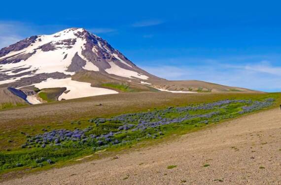 Alaska volcano landscape on a scenic helicopter safari