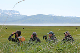 Bear Viewing Group ALASKA ULTIMATE SAFARI