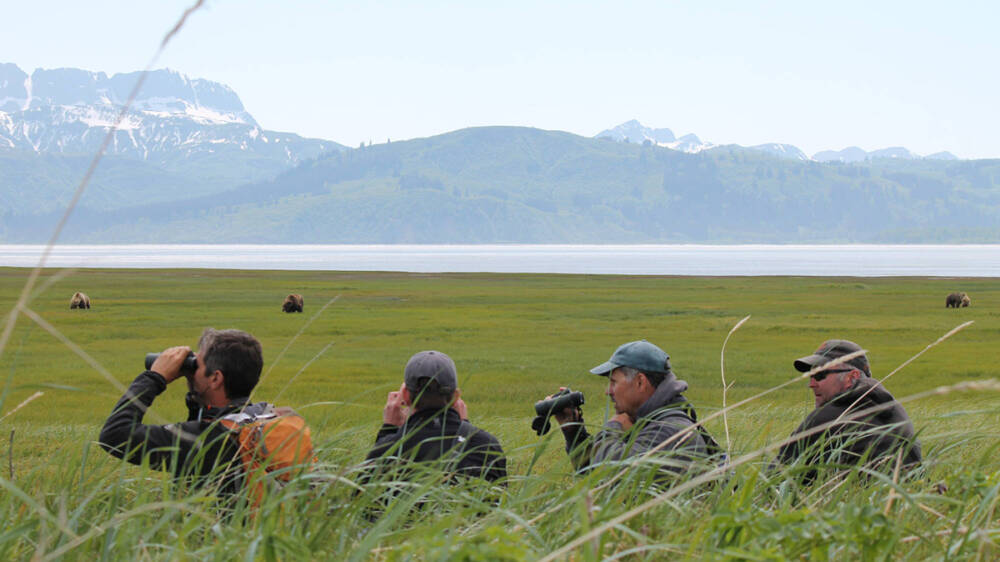Bear Viewing Group