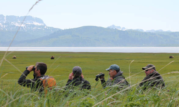 Bear Viewing Group