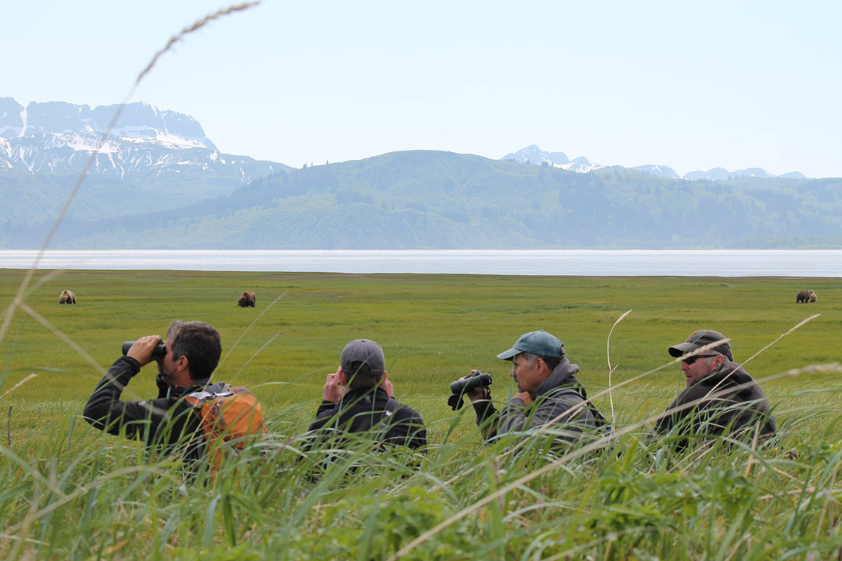 Bear Viewing Group