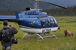 Alaska Bear Viewing