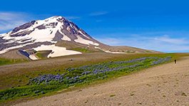 Volcano Hike