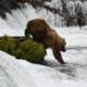 How to Get to Katmai From Homer