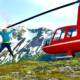 Helicopter Bear Viewing Alaska: Is It Worth It?