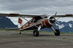 DHC-2 Beaver aircraft for Alaska bear viewing flights from Homer