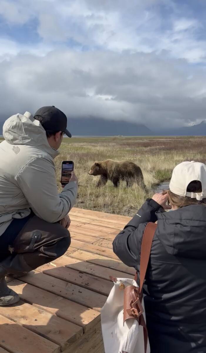 Lake Clark Bear Viewing Day Trip Guide