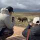 Lake Clark Bear Viewing Day Trip Guide