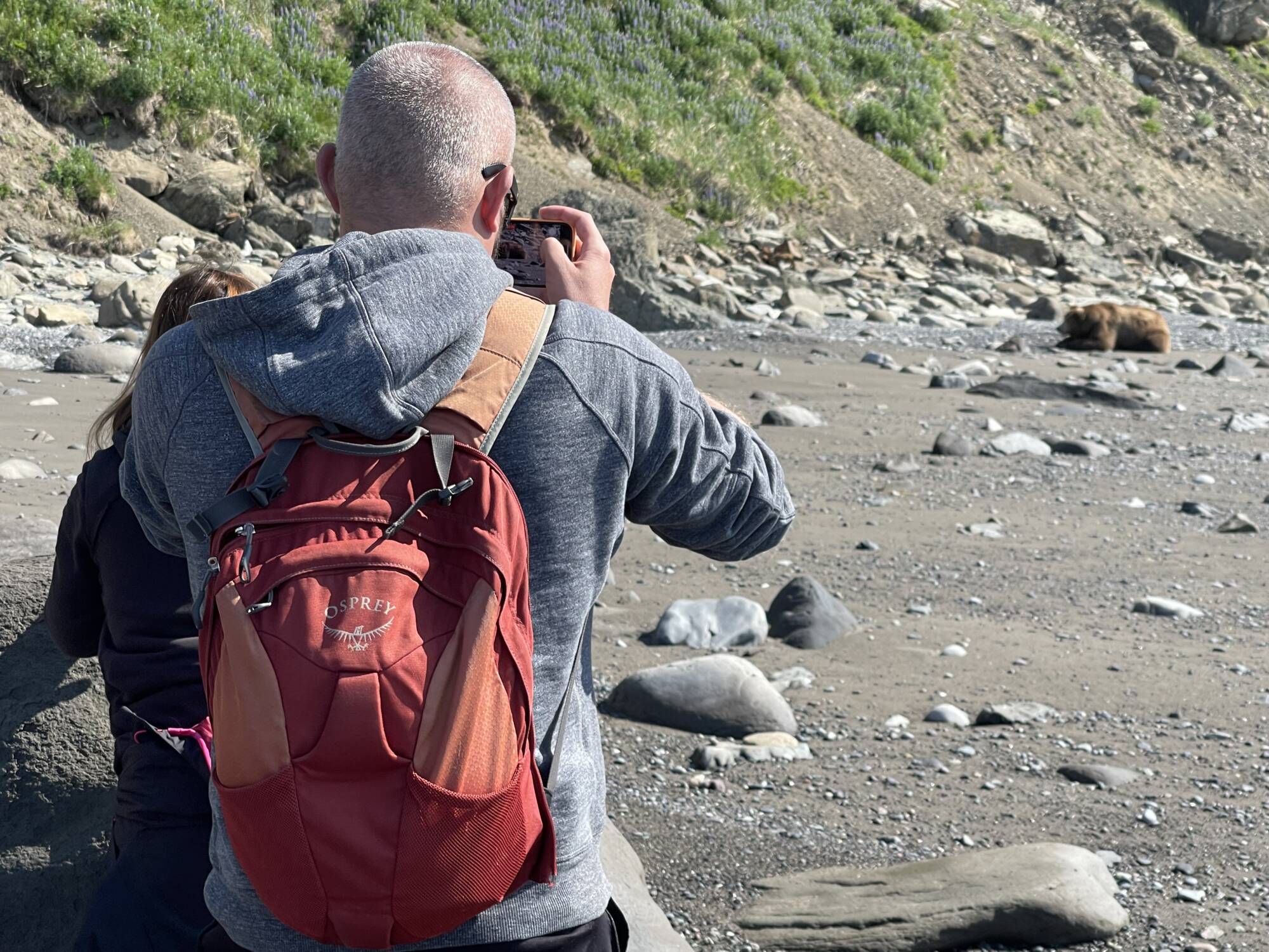 Guest photographing coastal brown bears during a Fourth of July Bear Safari Alaska adventure from Homer