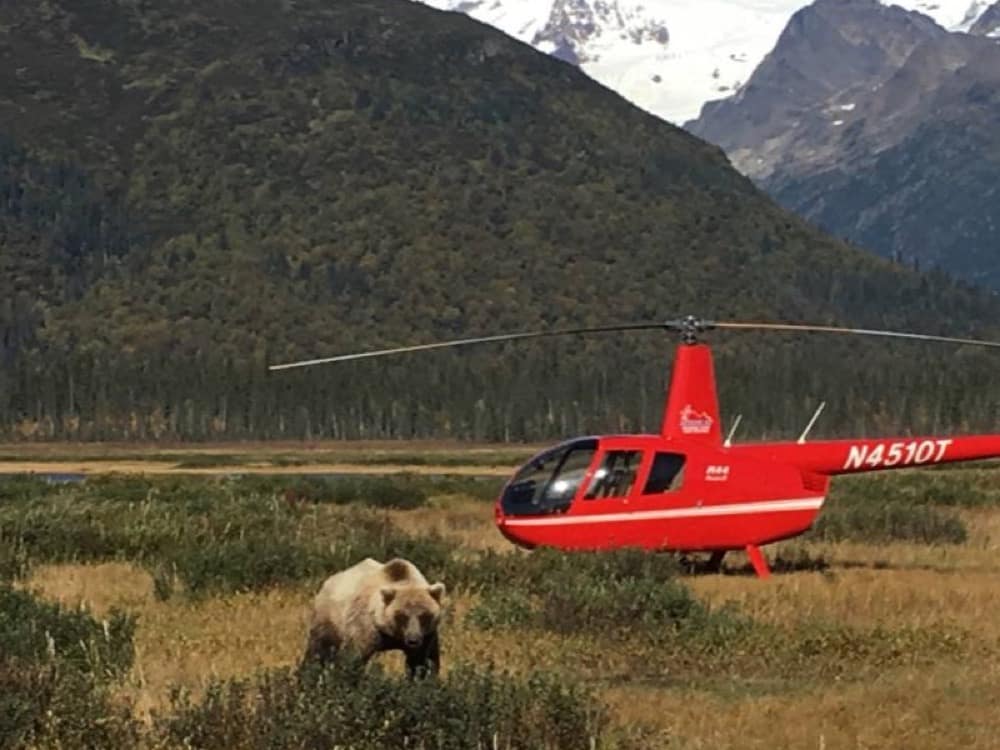 Helicopter landed in remote Alaska bear country
